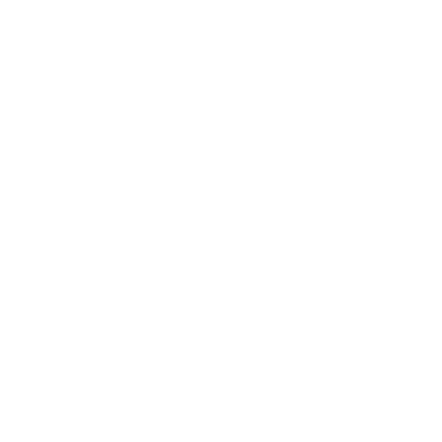 A figure using an interactive display beside an access gate