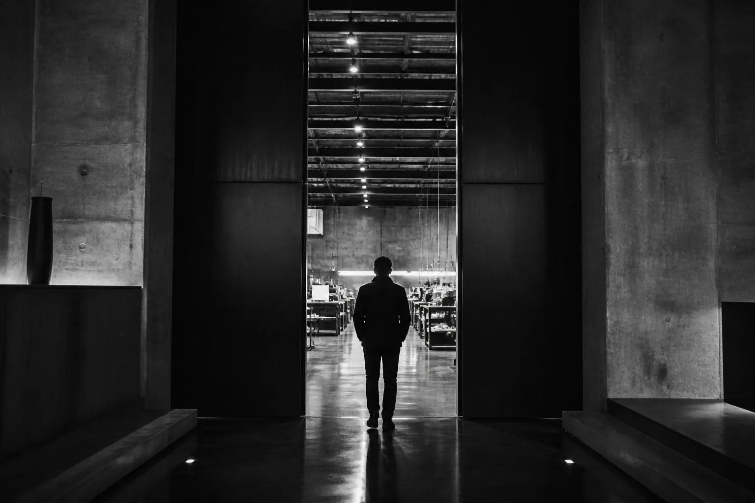 Architectural threshold in black and white: one interface into the space